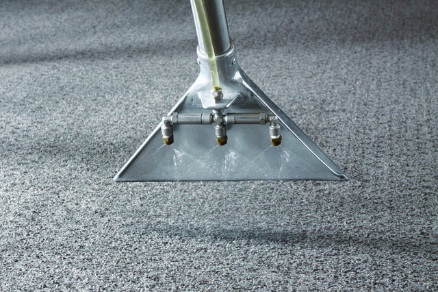 カーペットクリーニング